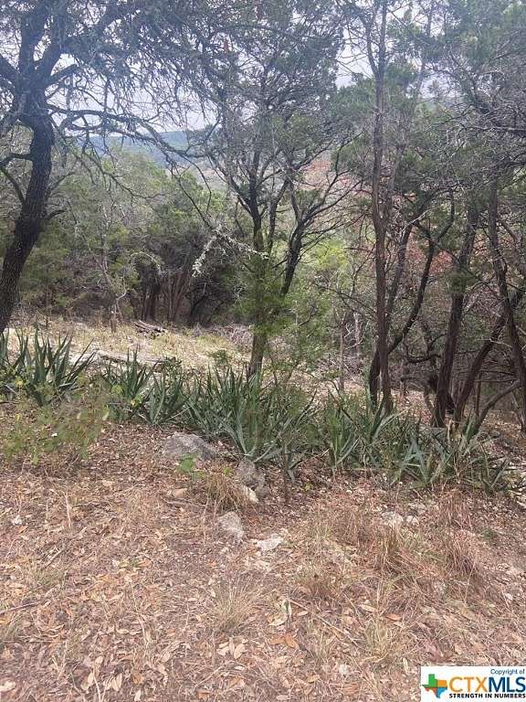 0.192 Acres of Residential Land for Sale in Canyon Lake, Texas