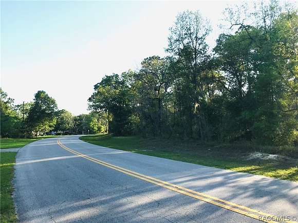 21.35 Acres of Land for Sale in Homosassa, Florida