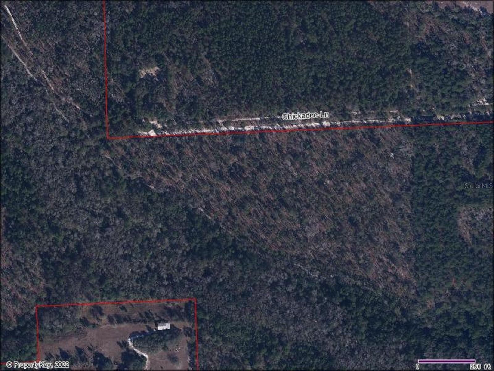111 Acres of Recreational Land for Sale in Palatka, Florida
