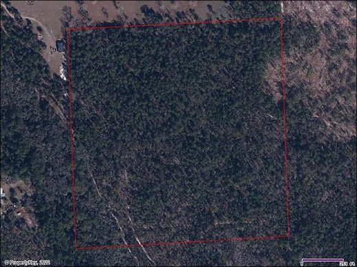 40.7 Acres of Land for Sale in Palatka, Florida