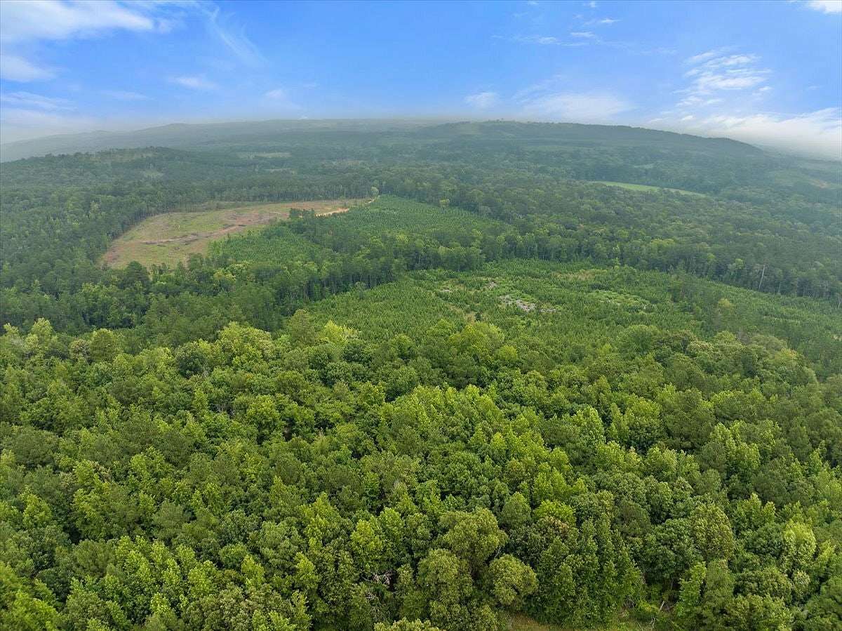 97.9 Acres of Recreational Land for Sale in Palestine, Texas