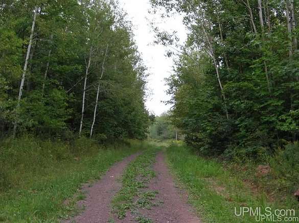 120 Acres of Land for Sale in Ontonagon, Michigan