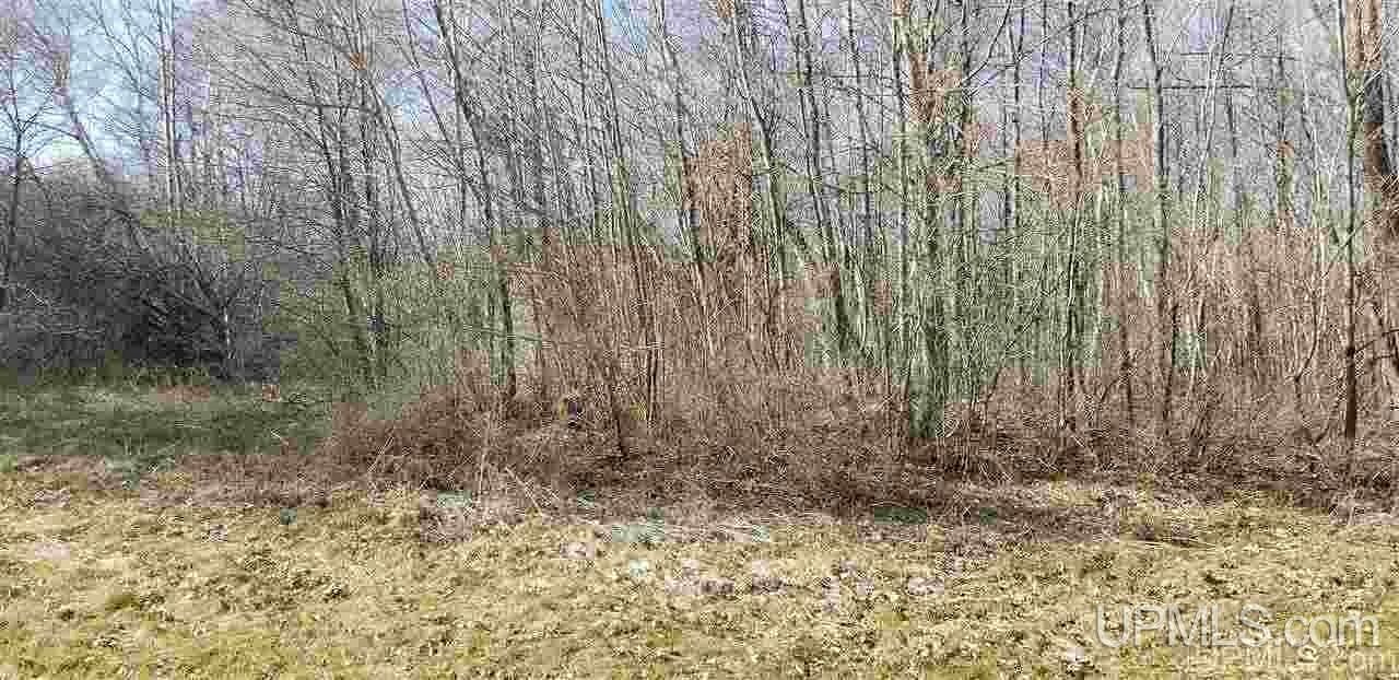 1.1 Acres of Residential Land for Sale in Ontonagon, Michigan