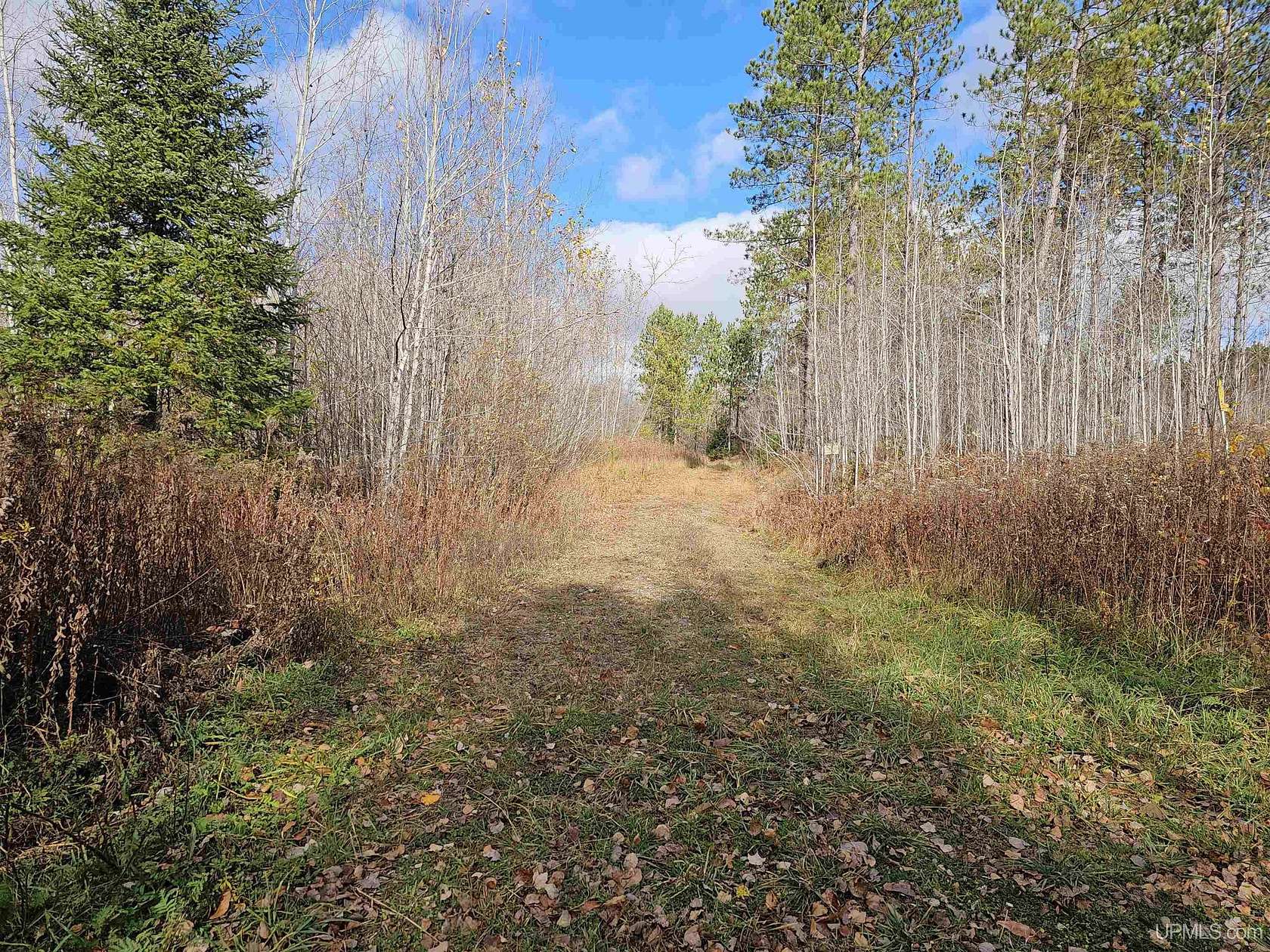 6.26 Acres of Residential Land for Sale in Iron River, Michigan