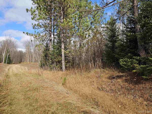 5 Acres of Residential Land for Sale in Iron River, Michigan