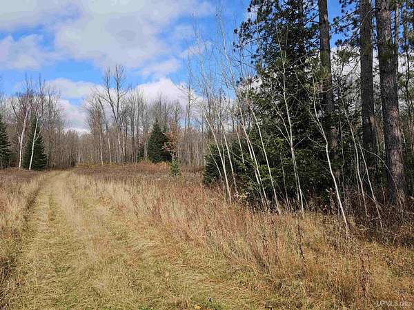 9.34 Acres of Residential Land for Sale in Iron River, Michigan