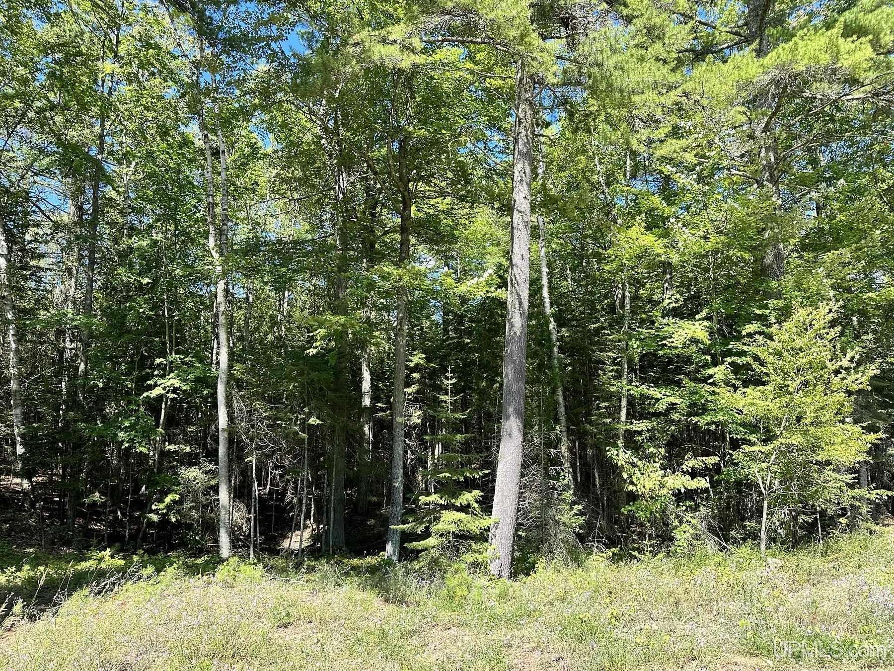 2 Acres of Land for Sale in Manistique, Michigan