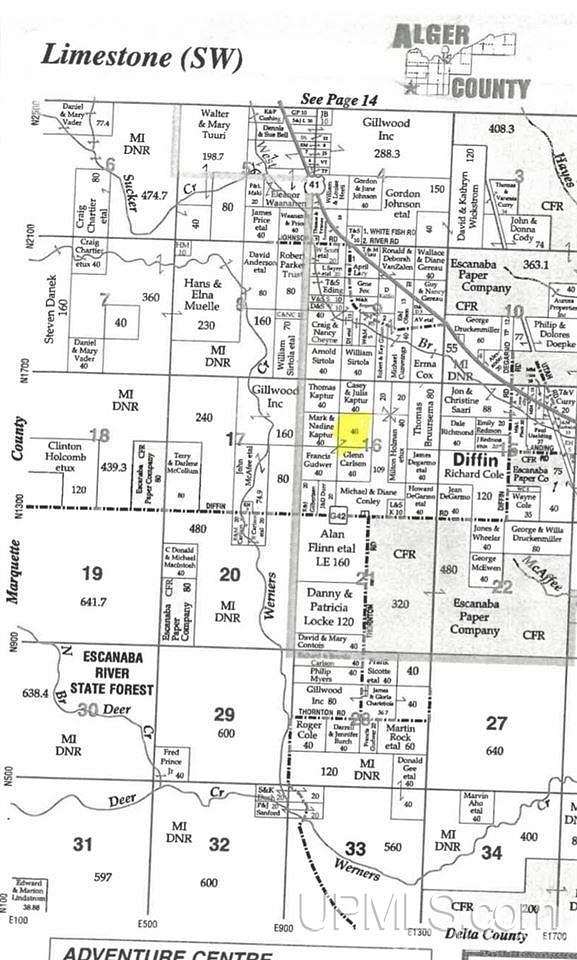 40 Acres of Land for Sale in Limestone, Michigan