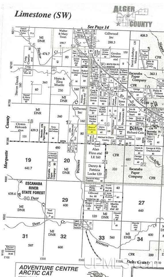 40 Acres of Land for Sale in Limestone, Michigan
