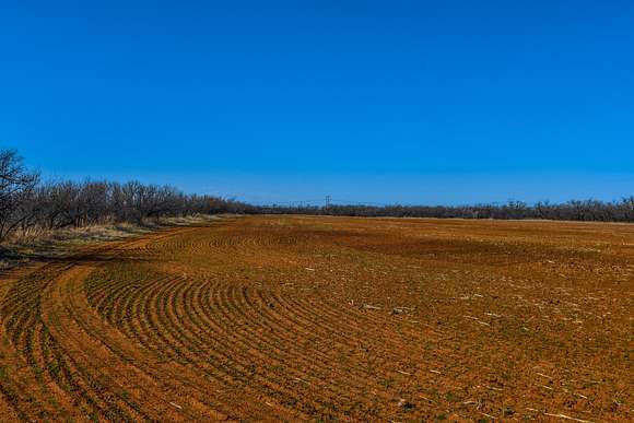 160 Acres of Recreational Land & Farm for Sale in Hamlin, Texas