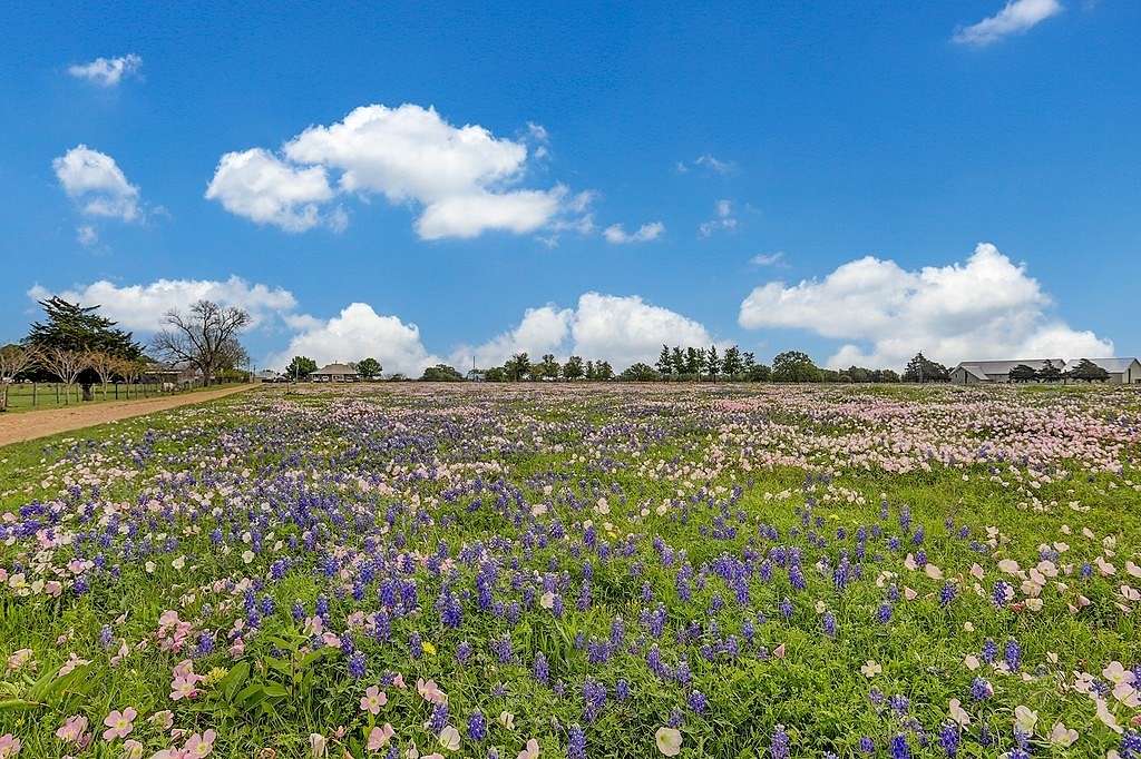 2 Acres of Residential Land for Sale in Round Top, Texas