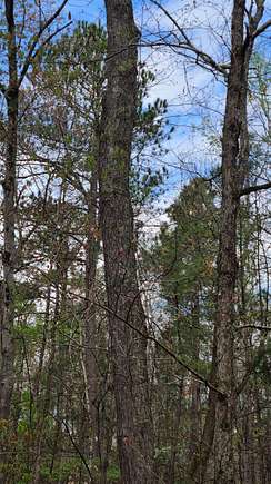 32 Acres of Land for Sale in Holly Springs, North Carolina