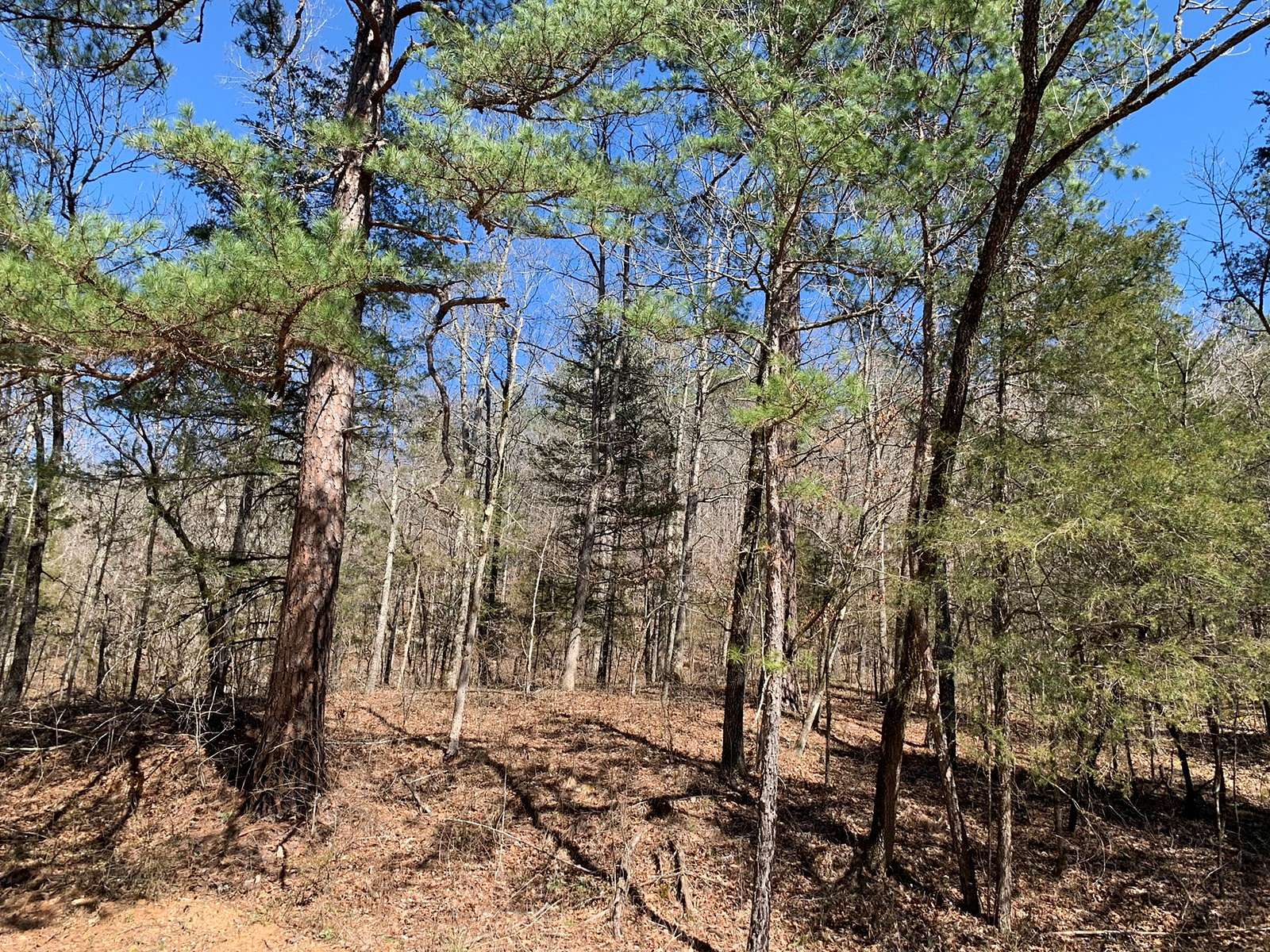 1 Acre of Land for Sale in Flippin, Arkansas