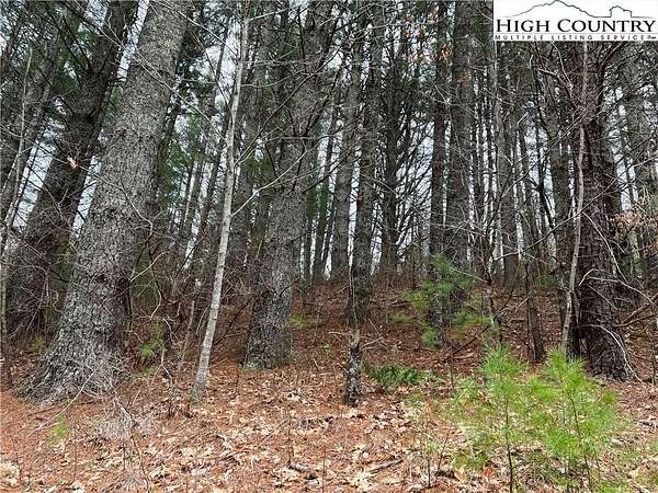 0.55 Acres of Residential Land for Sale in Laurel Springs, North Carolina