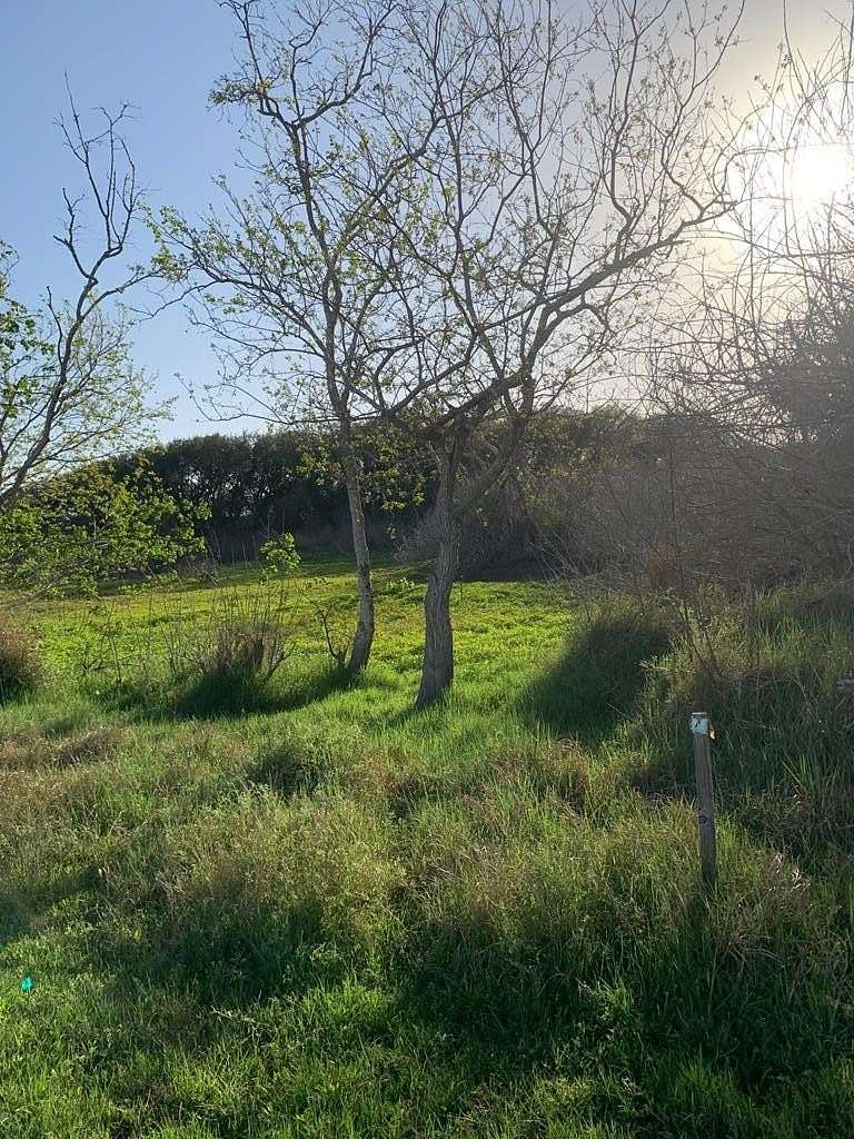 0.33 Acres of Residential Land for Sale in Rockport, Texas