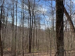 1.4 Acres of Residential Land for Sale in Zirconia, North Carolina