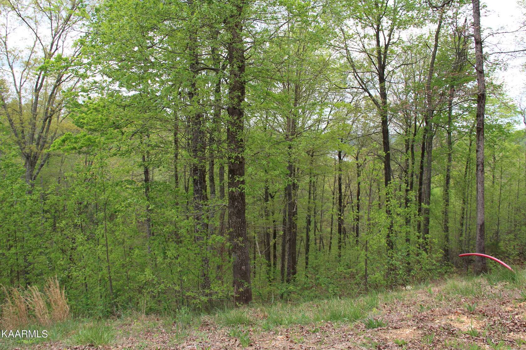 0.47 Acres of Residential Land for Sale in La Follette, Tennessee