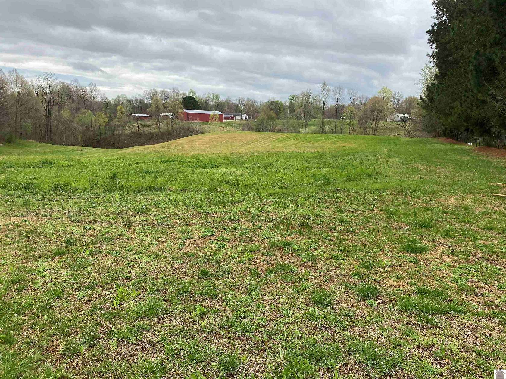 8 Acres of Land for Sale in Wickliffe, Kentucky