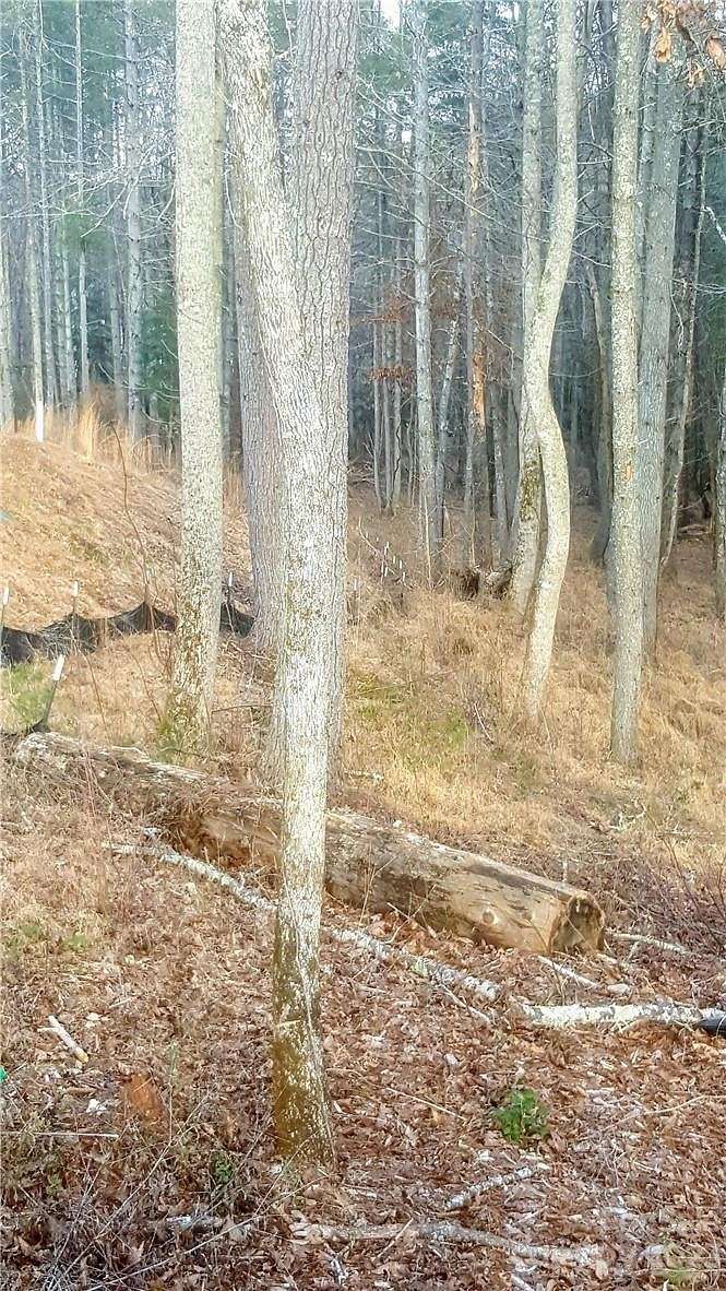 0.69 Acres of Residential Land for Sale in Valdese, North Carolina