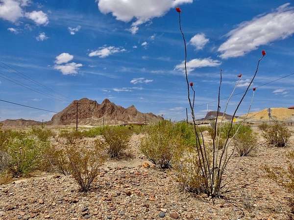 2.5 Acres of Commercial Land for Sale in Terlingua, Texas