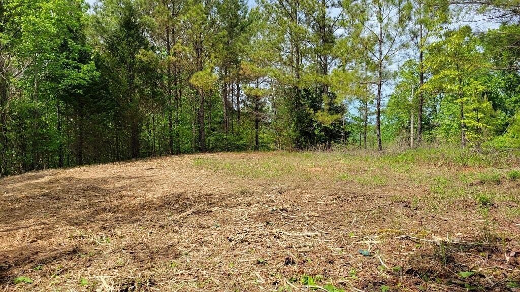 5 Acres of Residential Land for Sale in Sparta, Tennessee