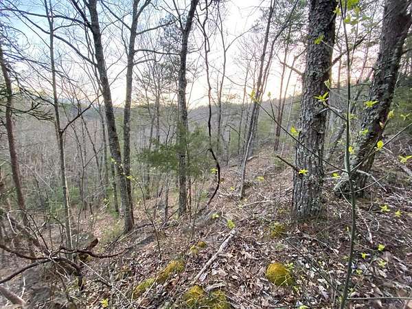 0.33 Acres of Residential Land for Sale in Sevierville, Tennessee