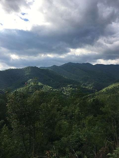 2 Acres of Land for Sale in Bryson City, North Carolina