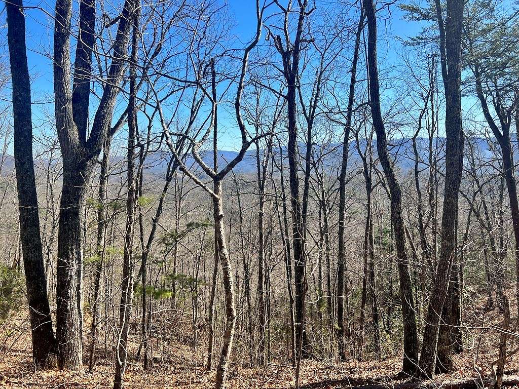 2 Acres of Residential Land for Sale in Whittier, North Carolina