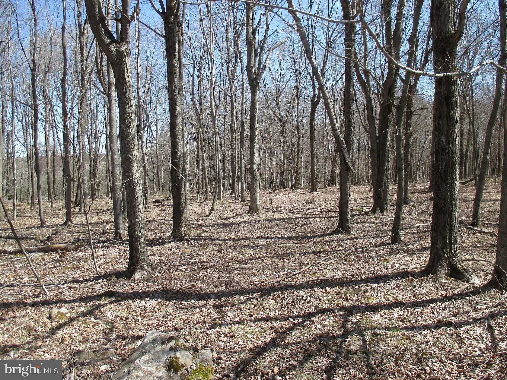 2.45 Acres of Residential Land for Sale in Mount Storm, West Virginia