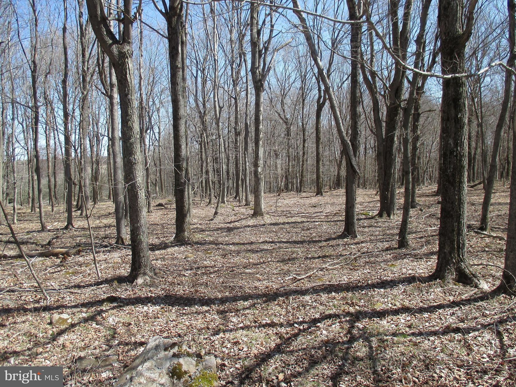 2.5 Acres of Residential Land for Sale in Mount Storm, West Virginia
