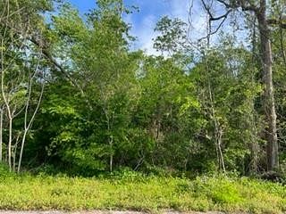 0.16 Acres of Residential Land for Sale in Apalachicola, Florida