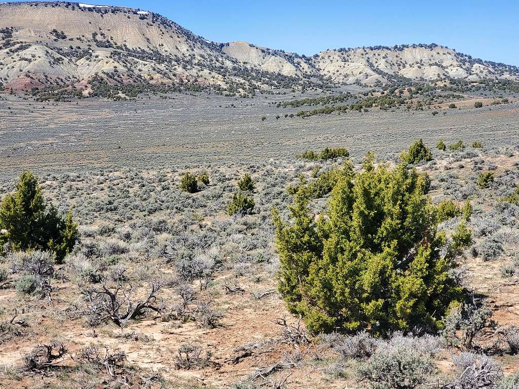 320 Acres of Recreational Land for Sale in Maybell, Colorado