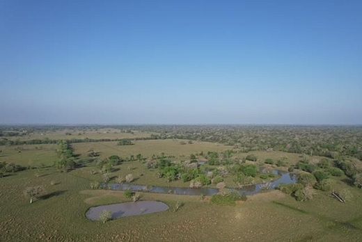 644 Acres of Land for Sale in Sweeny, Texas