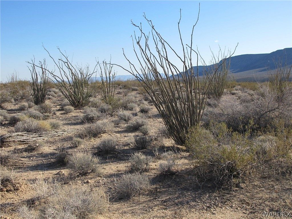 2 Acres of Land for Sale in Yucca, Arizona