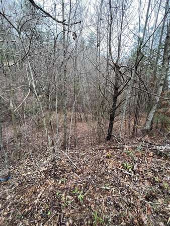20.4 Acres of Recreational Land for Sale in Mountain City, Tennessee