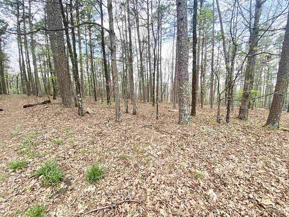 0.23 Acres of Residential Land for Sale in Hot Springs Village, Arkansas