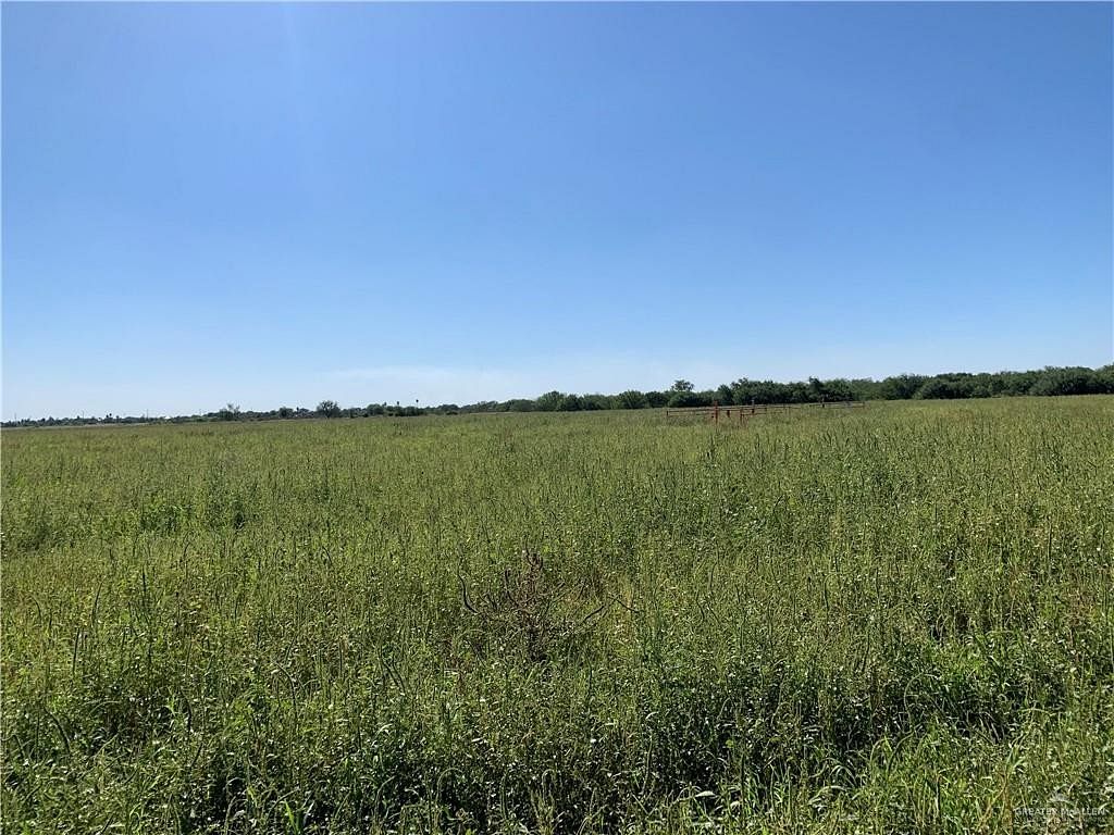 46.5 Acres of Agricultural Land for Sale in Alamo, Texas