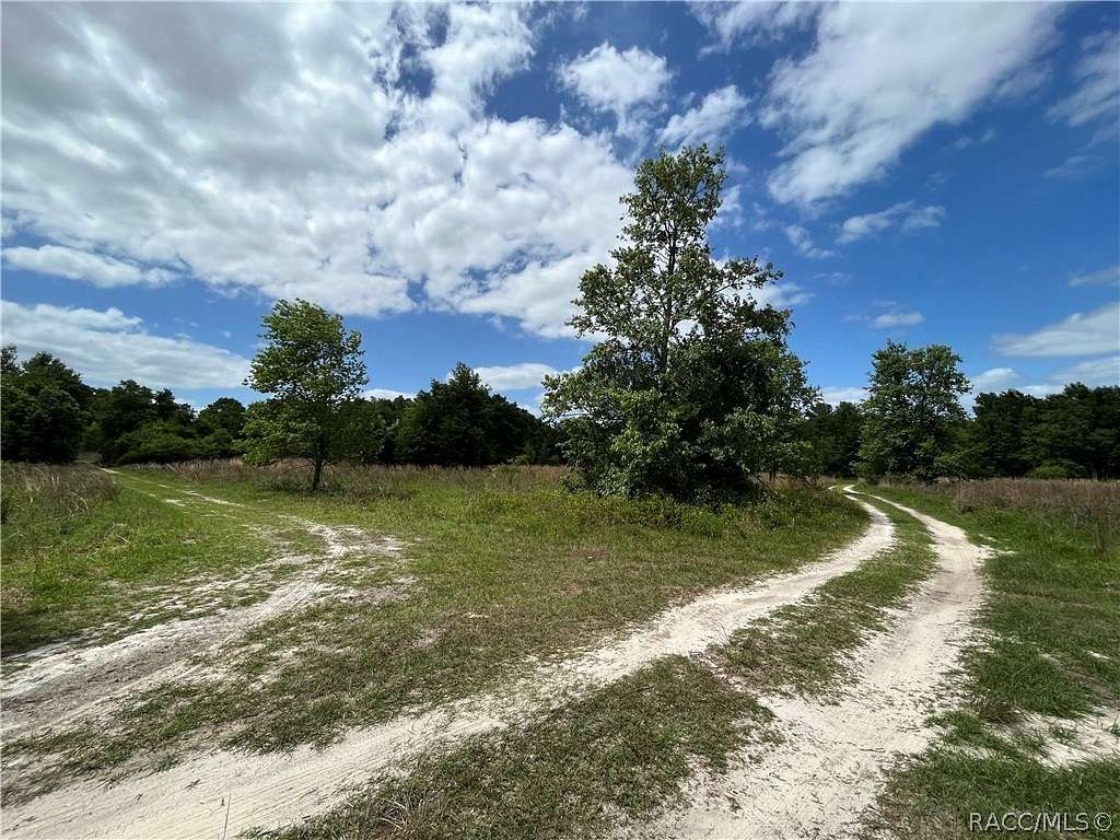 0.28 Acres of Residential Land for Sale in Inverness, Florida