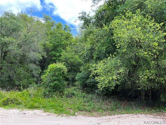 0.23 Acres of Residential Land for Sale in Inverness, Florida