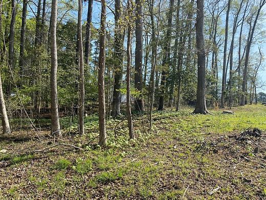 0.24 Acres of Residential Land for Sale in Greenbackville, Virginia