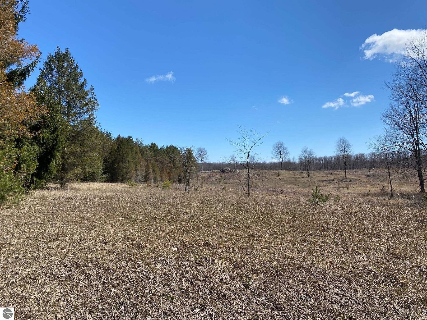 138 Acres of Agricultural Land for Sale in Maple City, Michigan