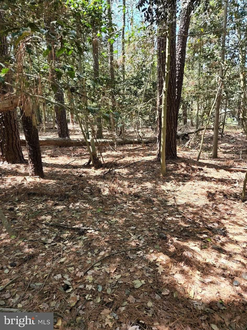 8 Acres of Residential Land for Sale in McDaniel, Maryland