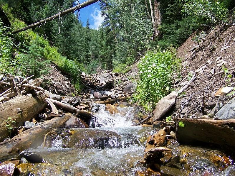 4.4 Acres of Recreational Land & Farm for Sale in Lake City, Colorado