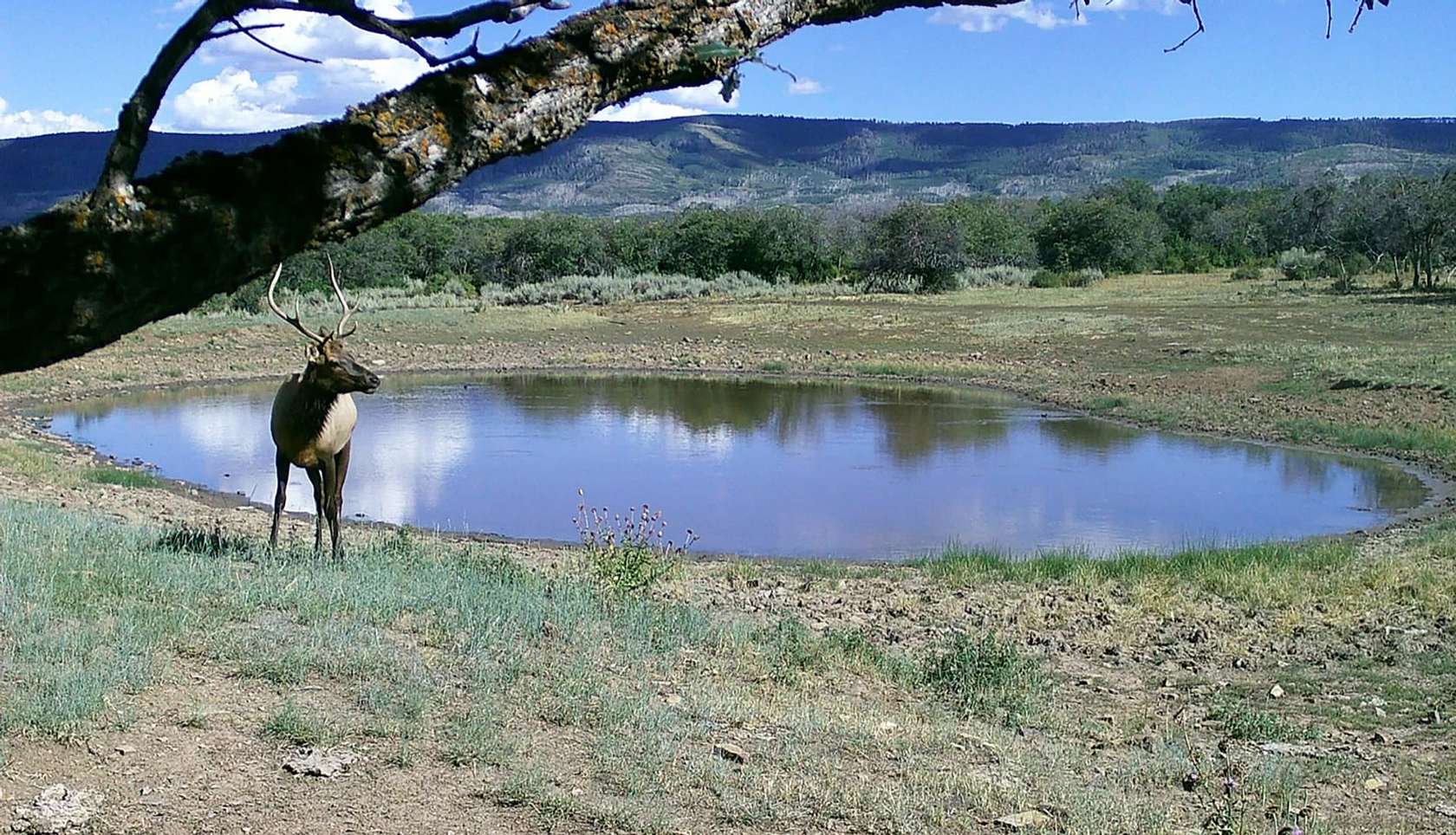 3,464 Acres of Land for Sale in Crawford, Colorado
