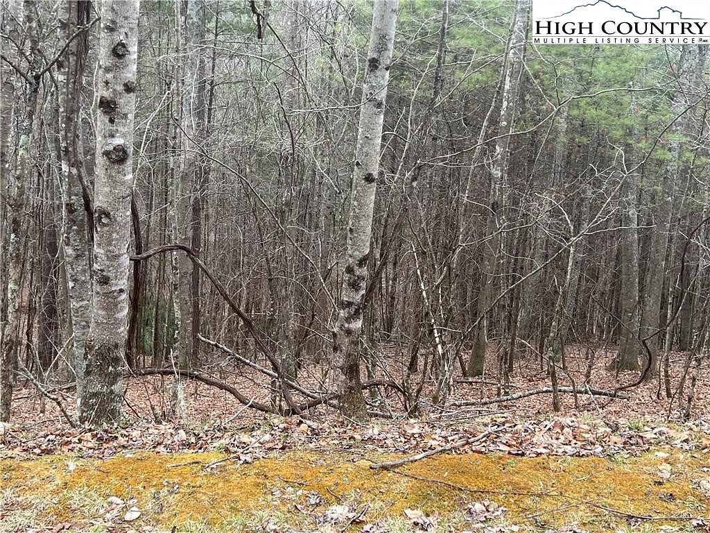 2 Acres of Residential Land for Sale in Jefferson, North Carolina