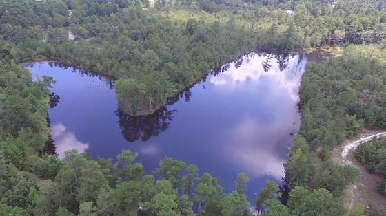 173 Acres of Land for Sale in Walterboro, South Carolina