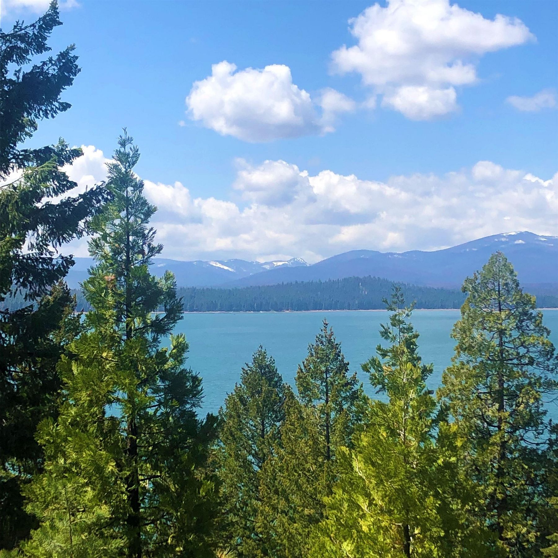 0.66 Acres of Residential Land for Sale in Lake Almanor Country Club, California