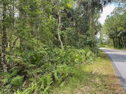 44.68 Acres of Land for Sale in Homosassa, Florida