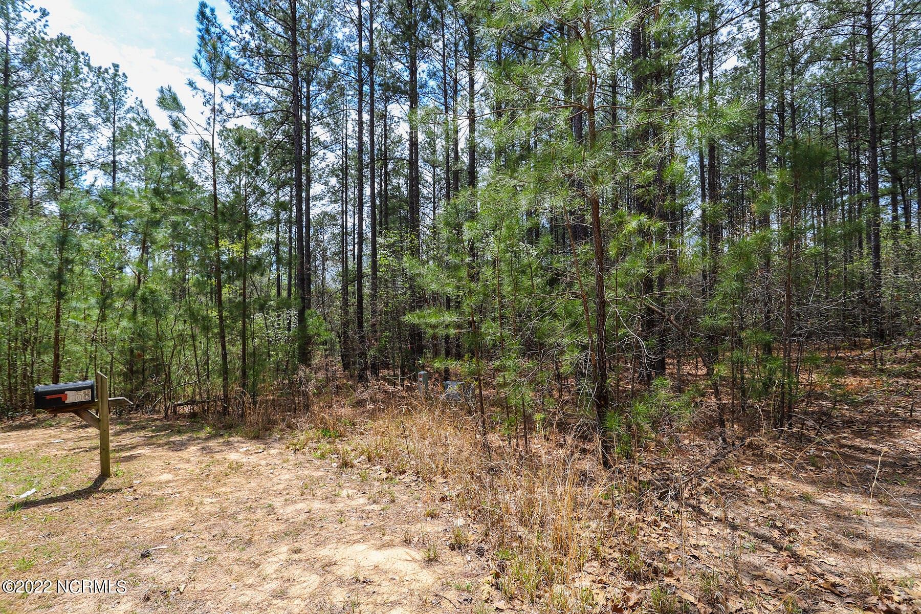 5.4 Acres of Agricultural Land for Sale in Jackson Springs, North Carolina