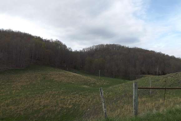 119 Acres of Recreational Land for Sale in Castlewood, Virginia